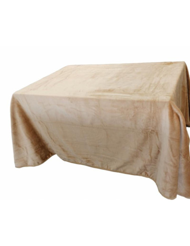 ROPA DE MESA CAMILLA RECTANGULAR 70X120 TERCIOPELO BEIG