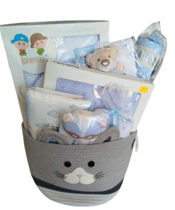 CESTA BEBÉ NIÑO babyshower